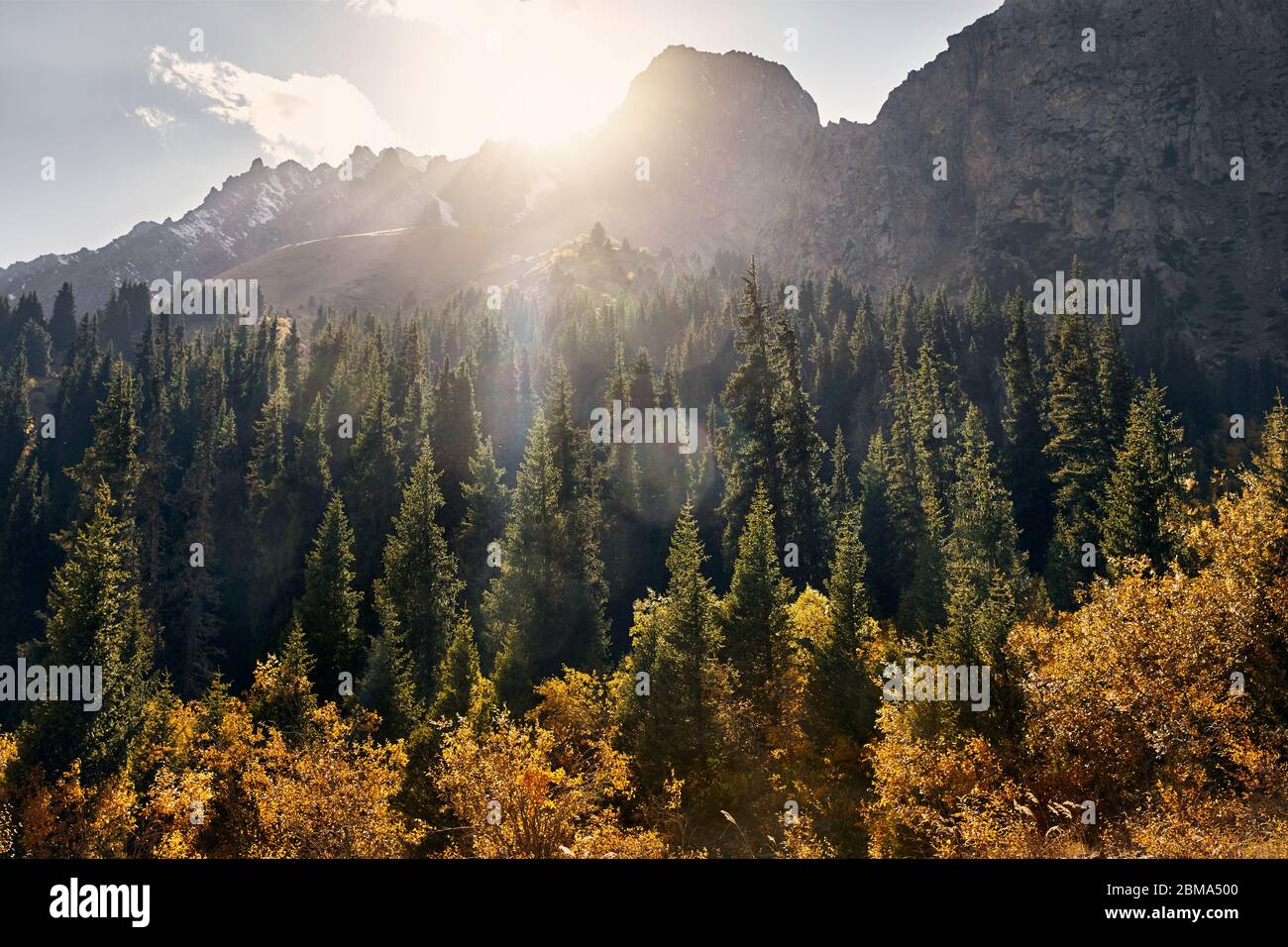 Hermoso paisaje del valle de montaña con bosque de otoño al atardecer en Kazajstán Foto de stock