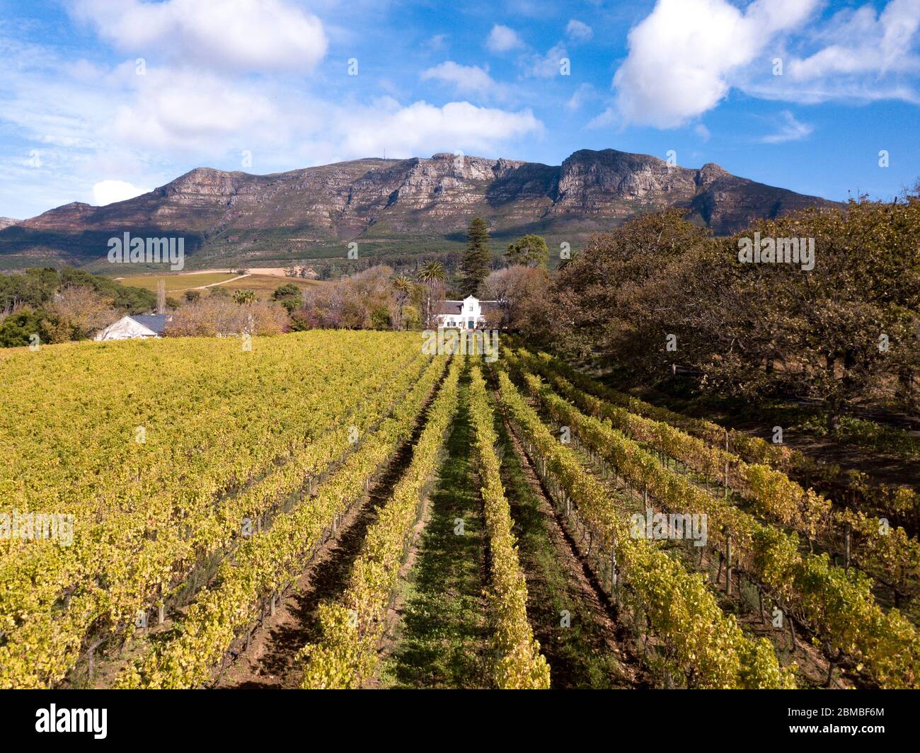 Aérea de una granja de vinos en Ciudad del Cabo, Sudáfrica Foto de stock