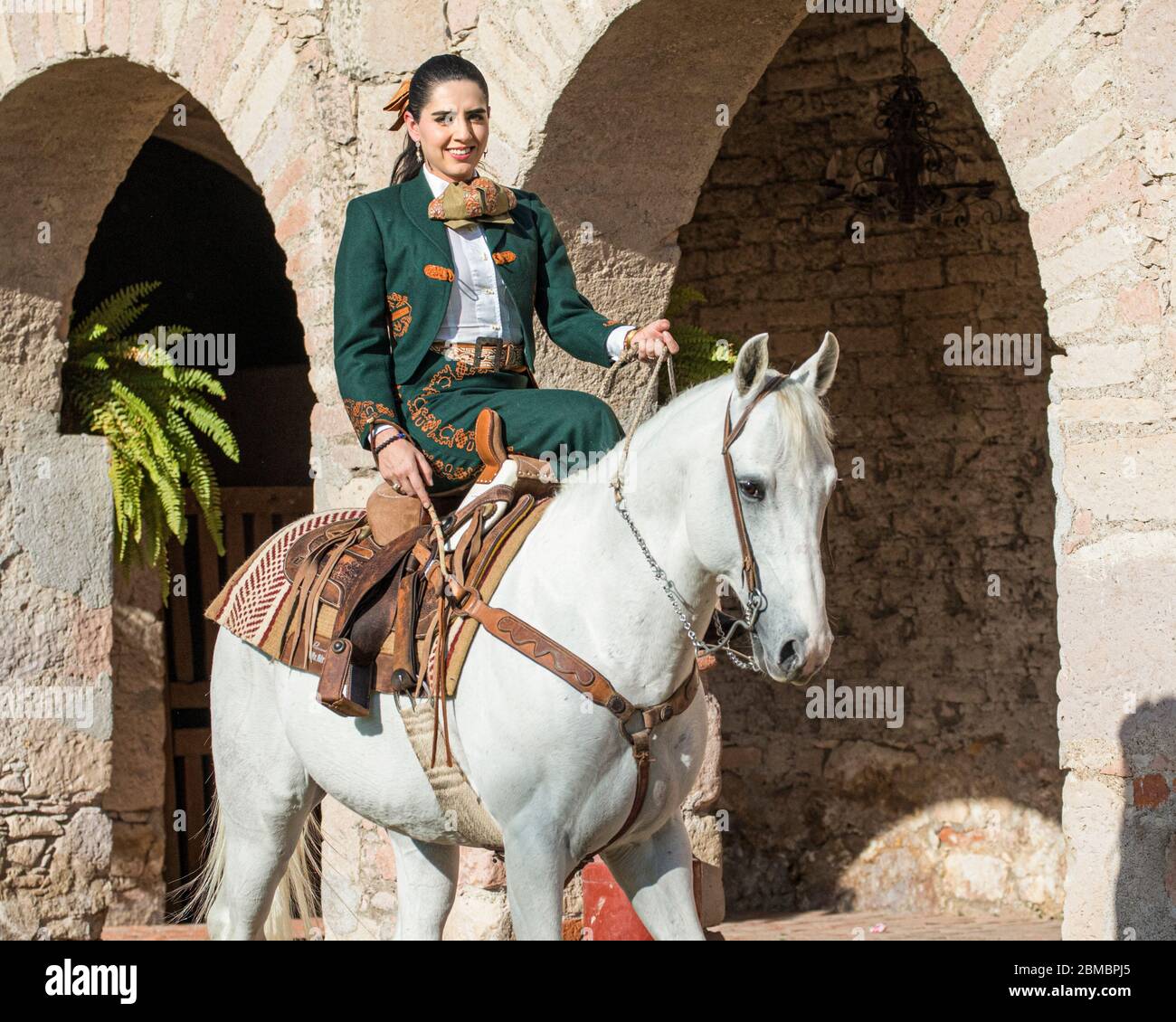 Pamela Pedrero en un quarterhorse blanco en Hacienda la Cantera en Lagos de Moreno, Jalisco, México. Foto de stock