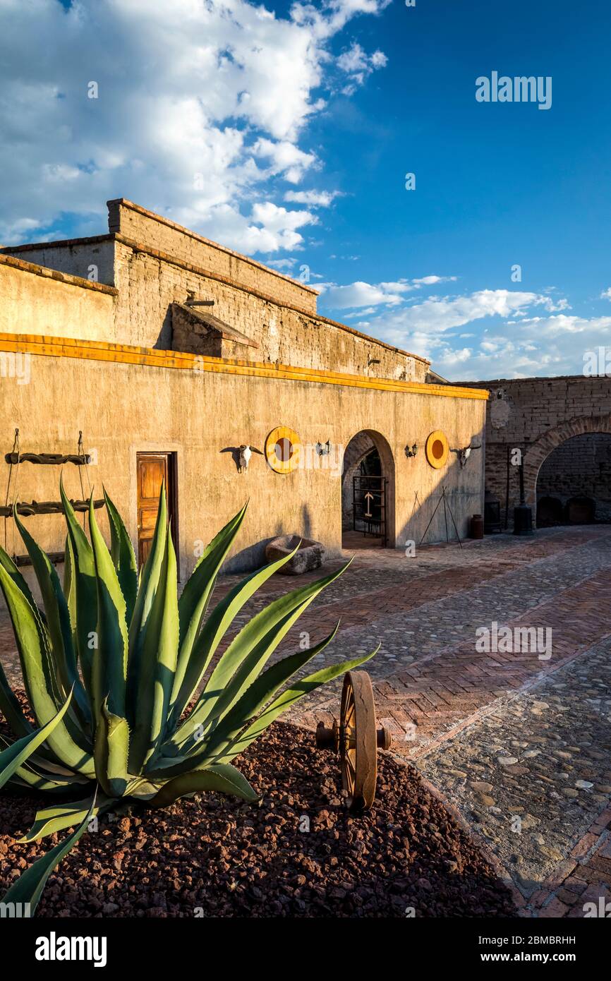 El patio de cactus de la Hacienda Sepulveda en Lagos de Moreno, Jalisco, México. Foto de stock