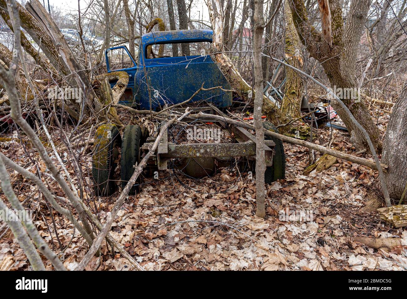 camión abandonado en el bosque Foto de stock