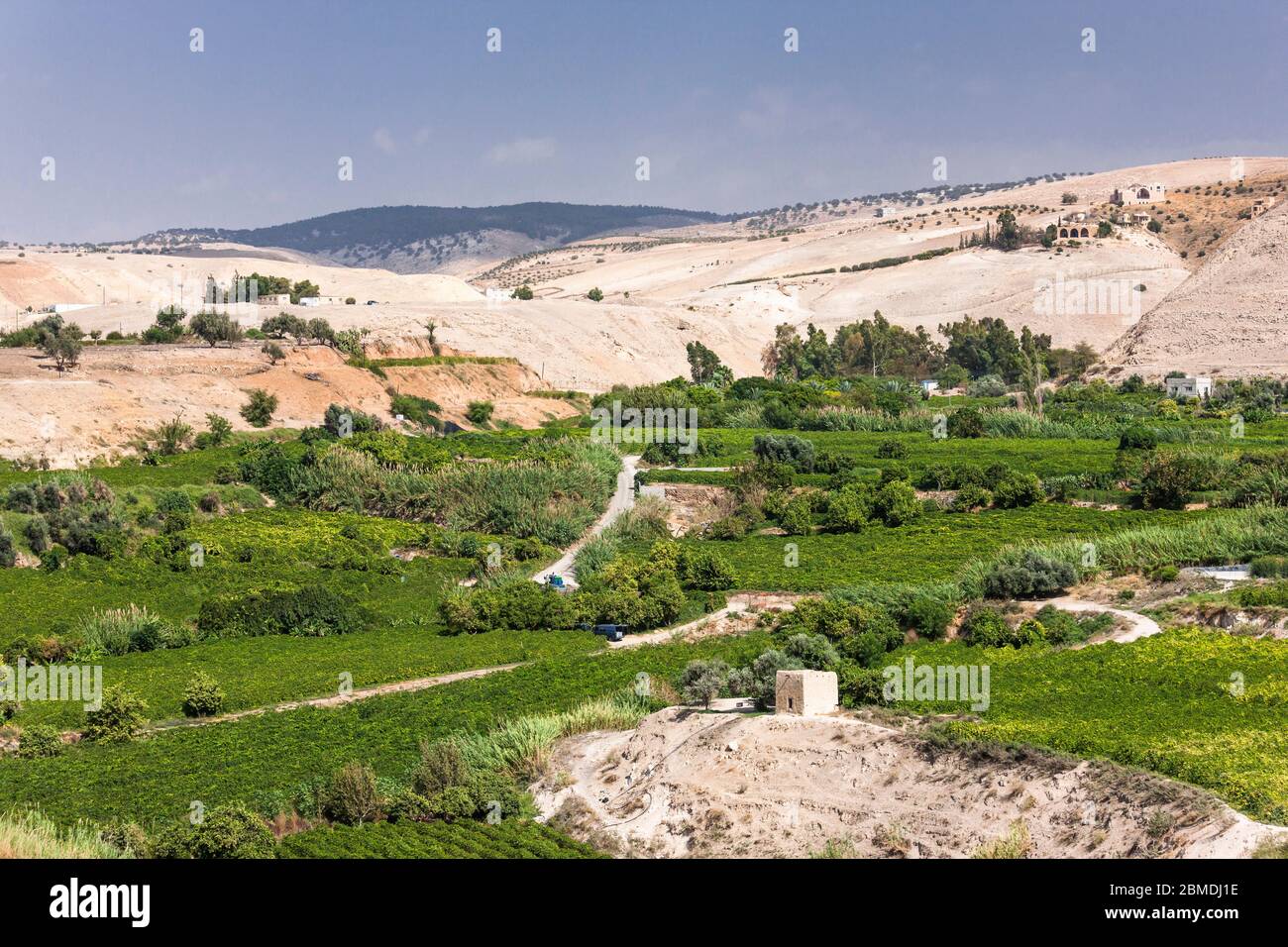 Granja agrícola cerca de las ruinas de Pella, valle de Jordania, Tabqet Fahel, Tabaqat Fahl, Irbit, Gobernación de Irbid, Jordania, Oriente Medio, Asia Foto de stock