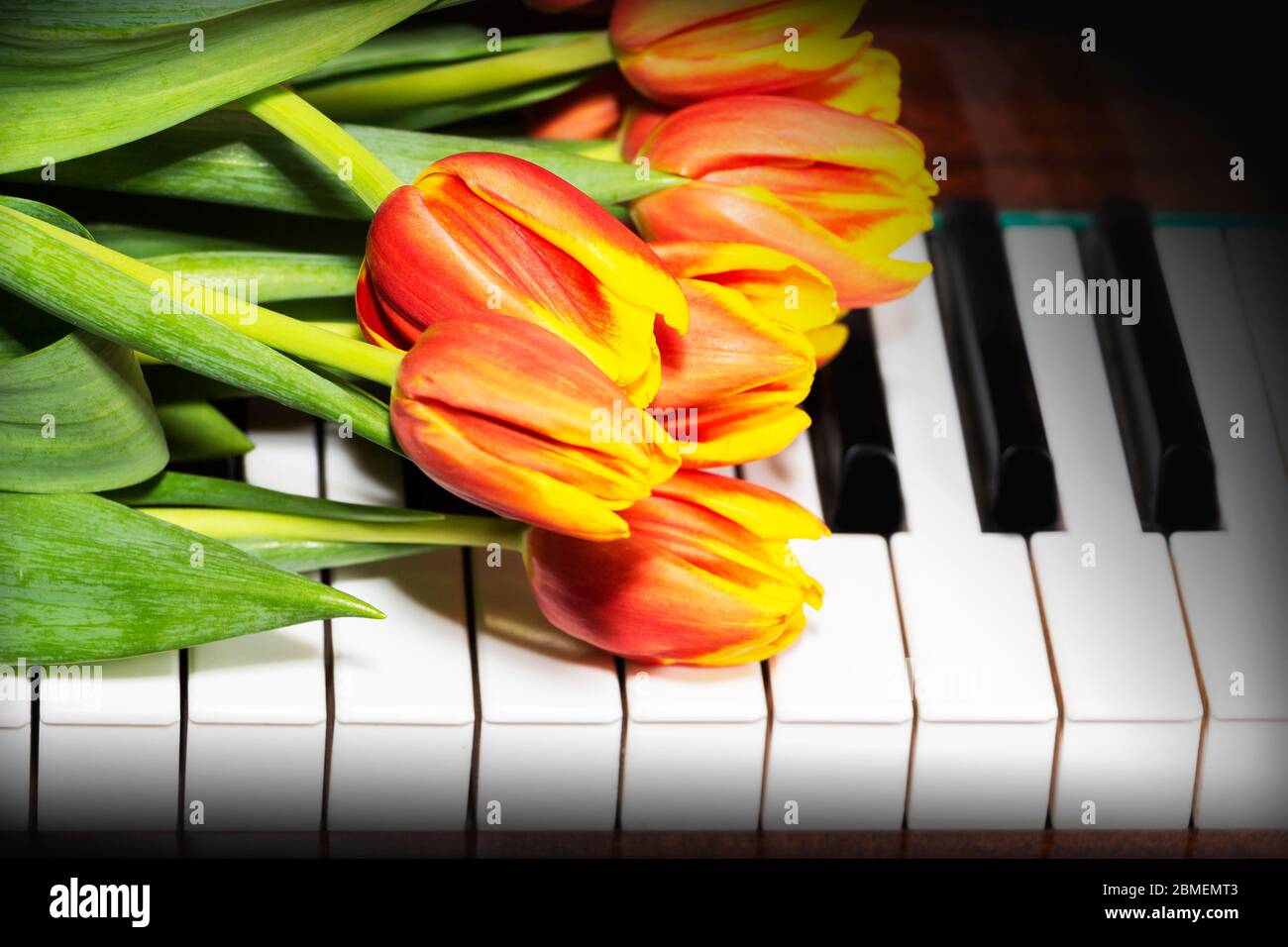 Tulipanes en el piano. El concepto de música romántica y melodías  Fotografía de stock - Alamy