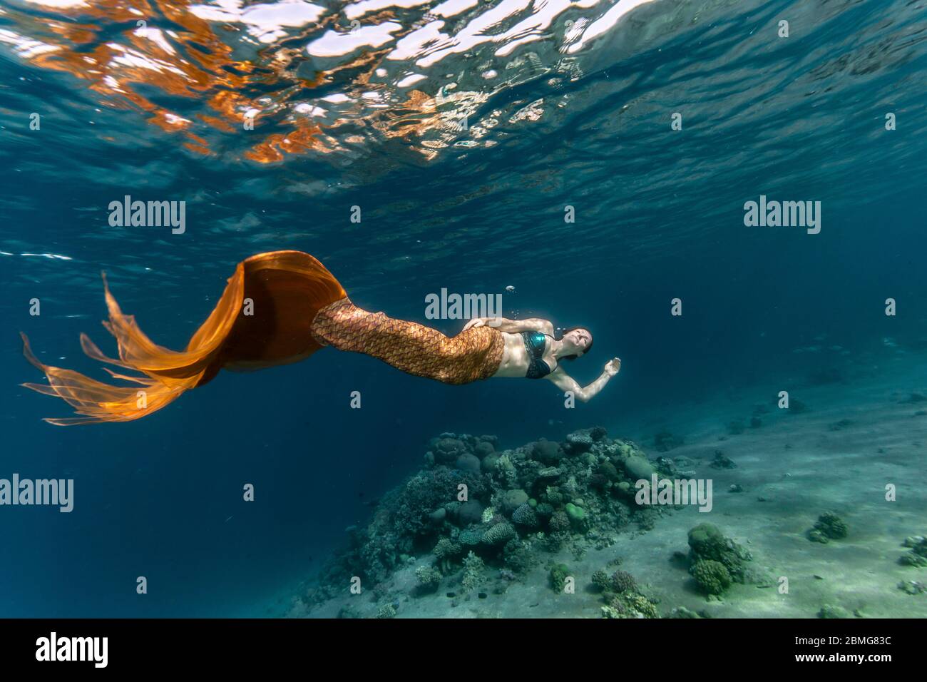 Mermaid nadando bajo el agua en el océano Foto de stock