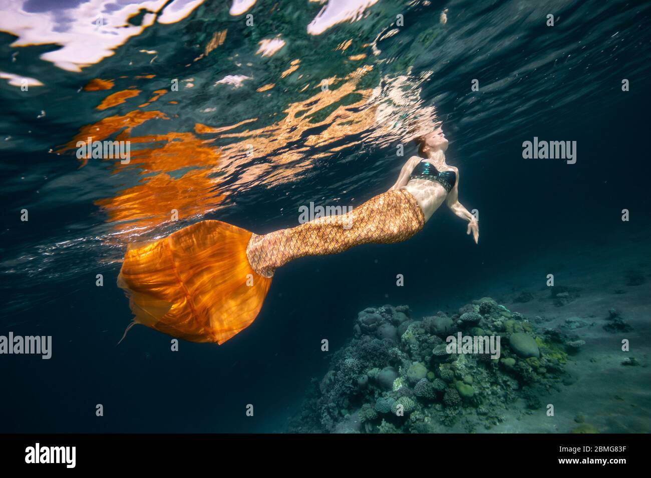 Mermaid nadando bajo el agua en el océano Foto de stock