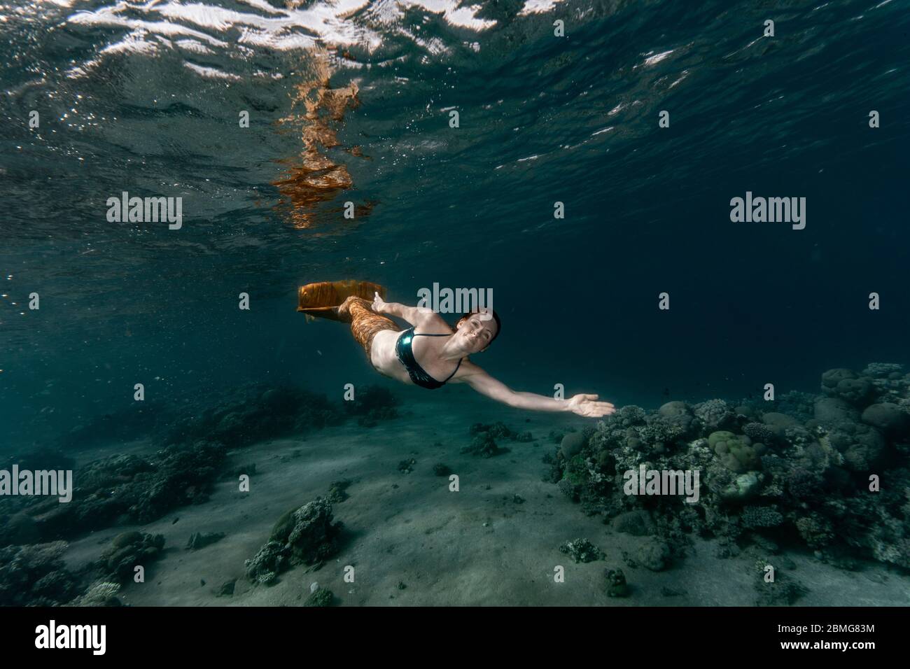 Mermaid nadando bajo el agua en el océano Foto de stock