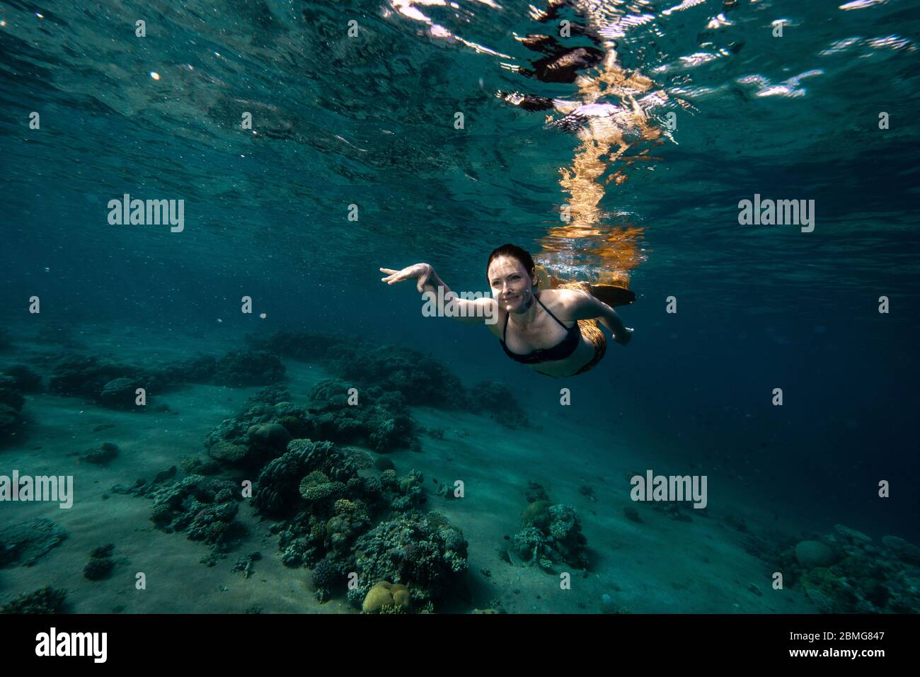 Mermaid nadando bajo el agua en el océano Foto de stock