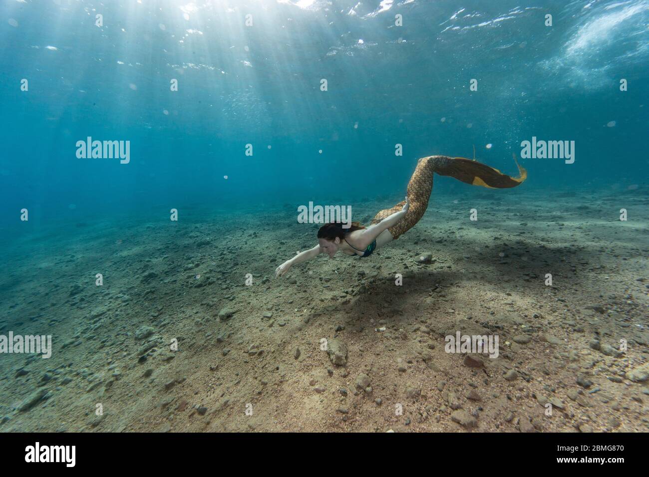 Mermaid nadando bajo el agua en el océano Foto de stock