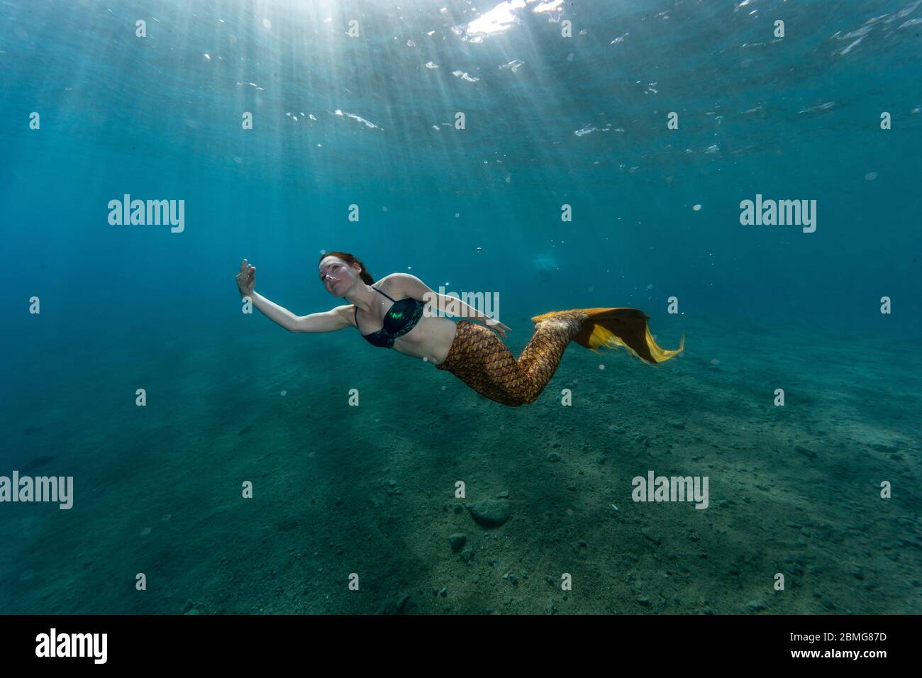 Mermaid nadando bajo el agua en el océano Foto de stock