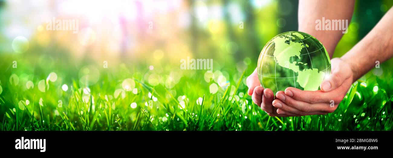 Manos sosteniendo la Tierra Cristal en un entorno verde exuberante con luz solar - cuidar del concepto de Medio Ambiente Foto de stock