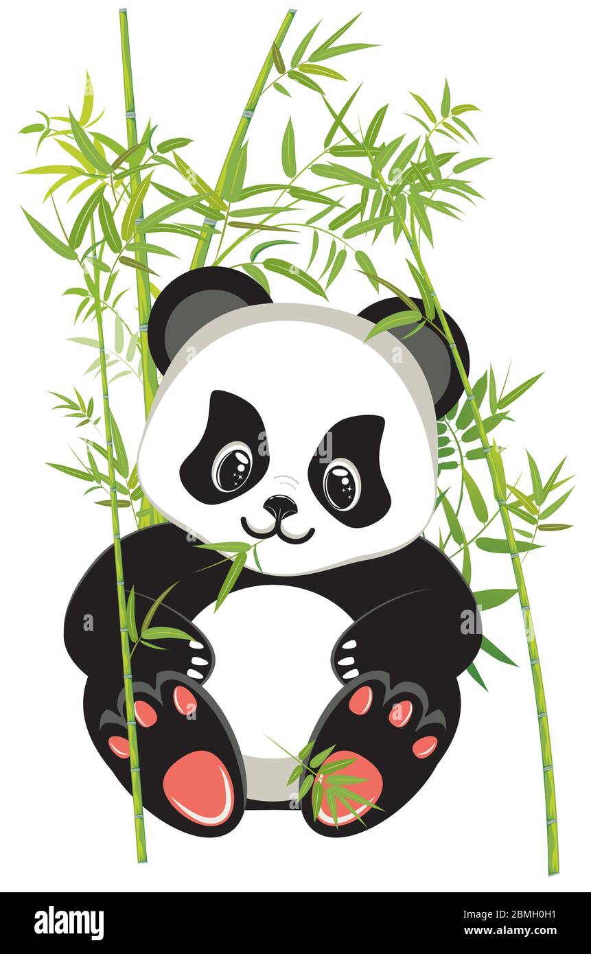 Lindo oso panda con dibujos animados con diseño de bambú verde Imagen  Vector de stock - Alamy