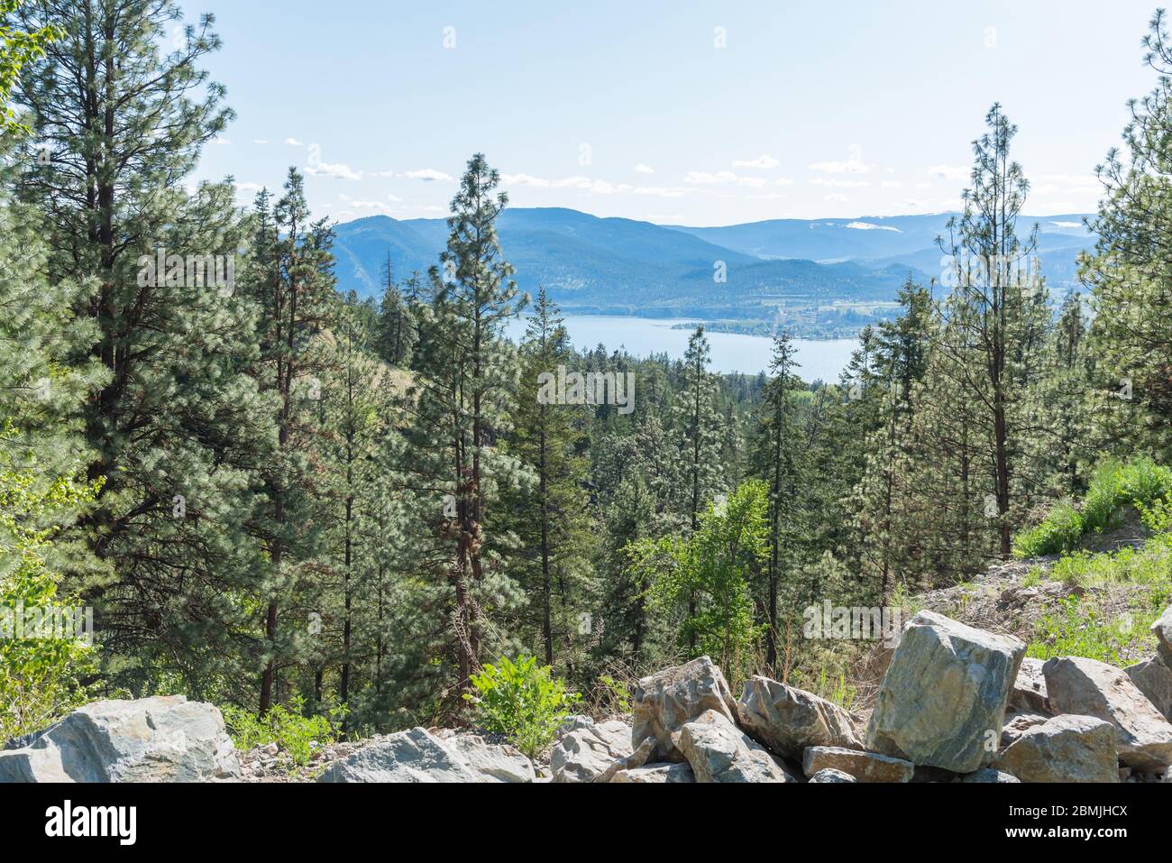 Vista a gran altitud desde el Kettle Valley Rail Trail de bosque de pinos con el lago Okanagan y montañas a distancia Foto de stock