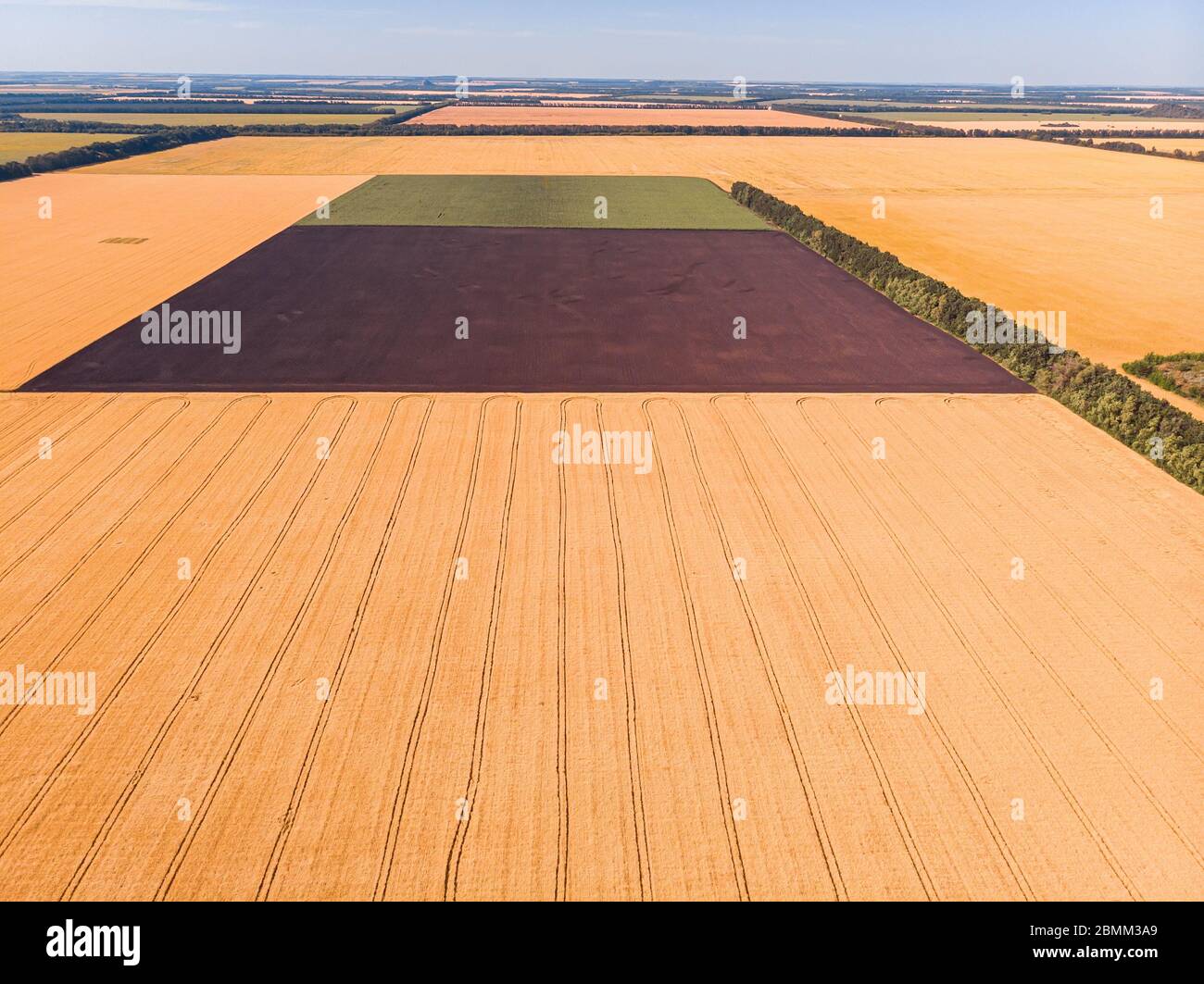 Hermosa campiña patchwork patrones de paisaje cultivado de drone pov, campos de maíz, soya y trigo de alto ángulo de visión Foto de stock