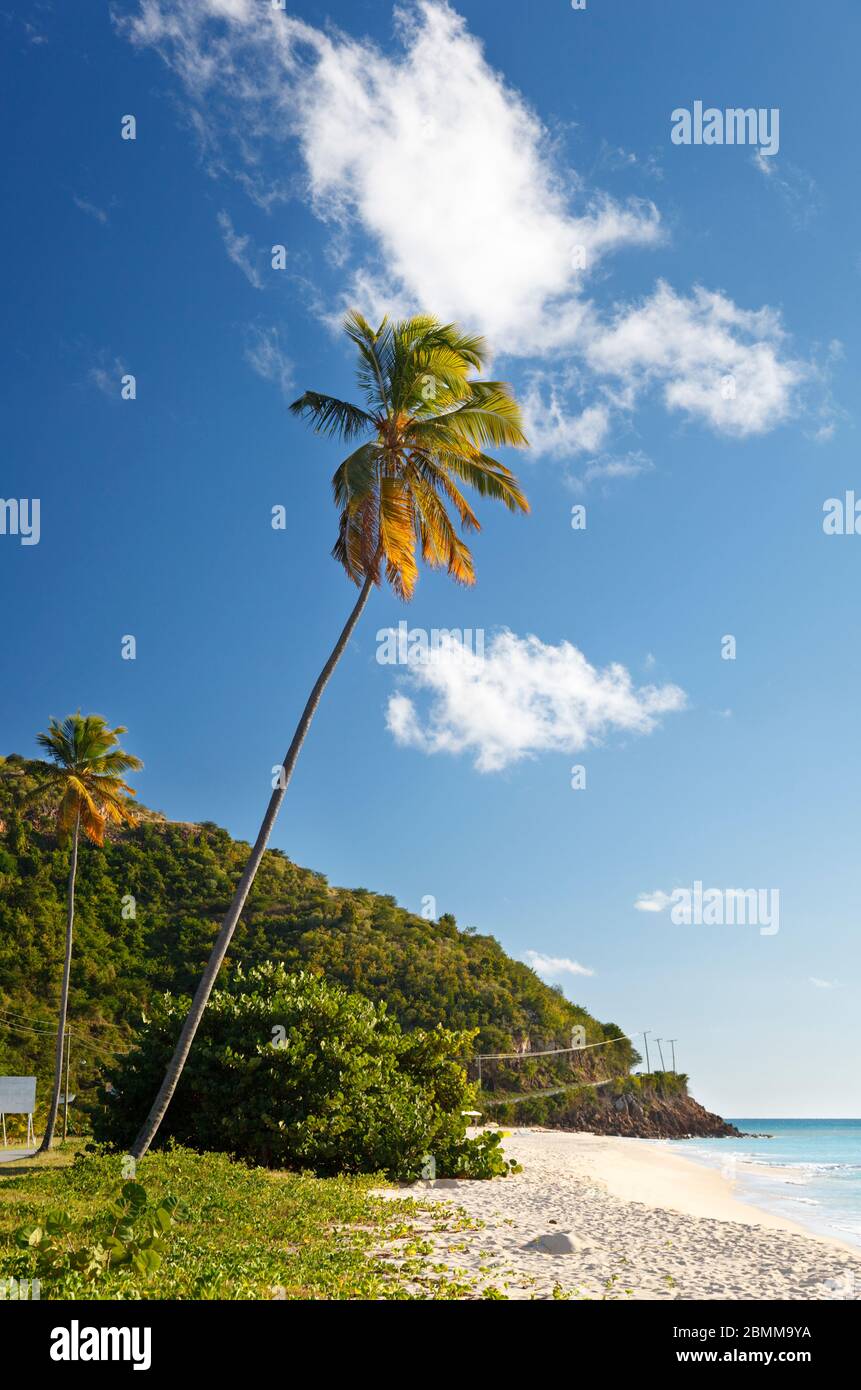 Playa Darkwood perfecta en Antigua. Foto de stock