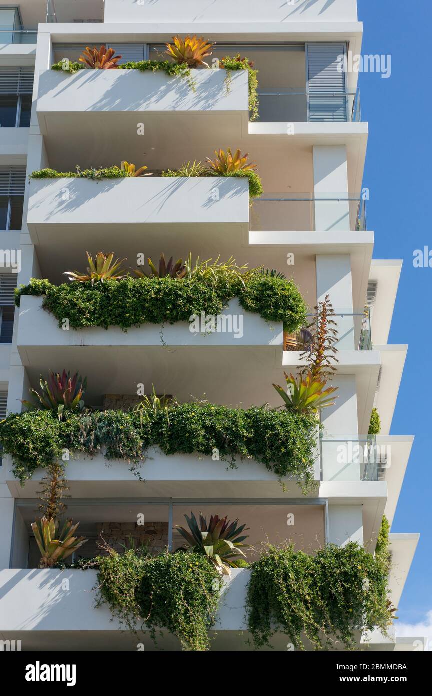 Plantas en macetas verdes en balcones en un edificio blanco. Diseño de  jardines urbanos Fotografía de stock - Alamy