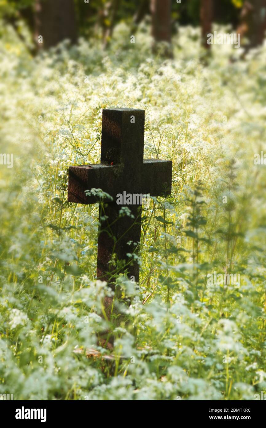 Antigua cruz de piedra o crucifijo en un cementerio con flores silvestres. Espacio de copia, vertical. Foto de stock