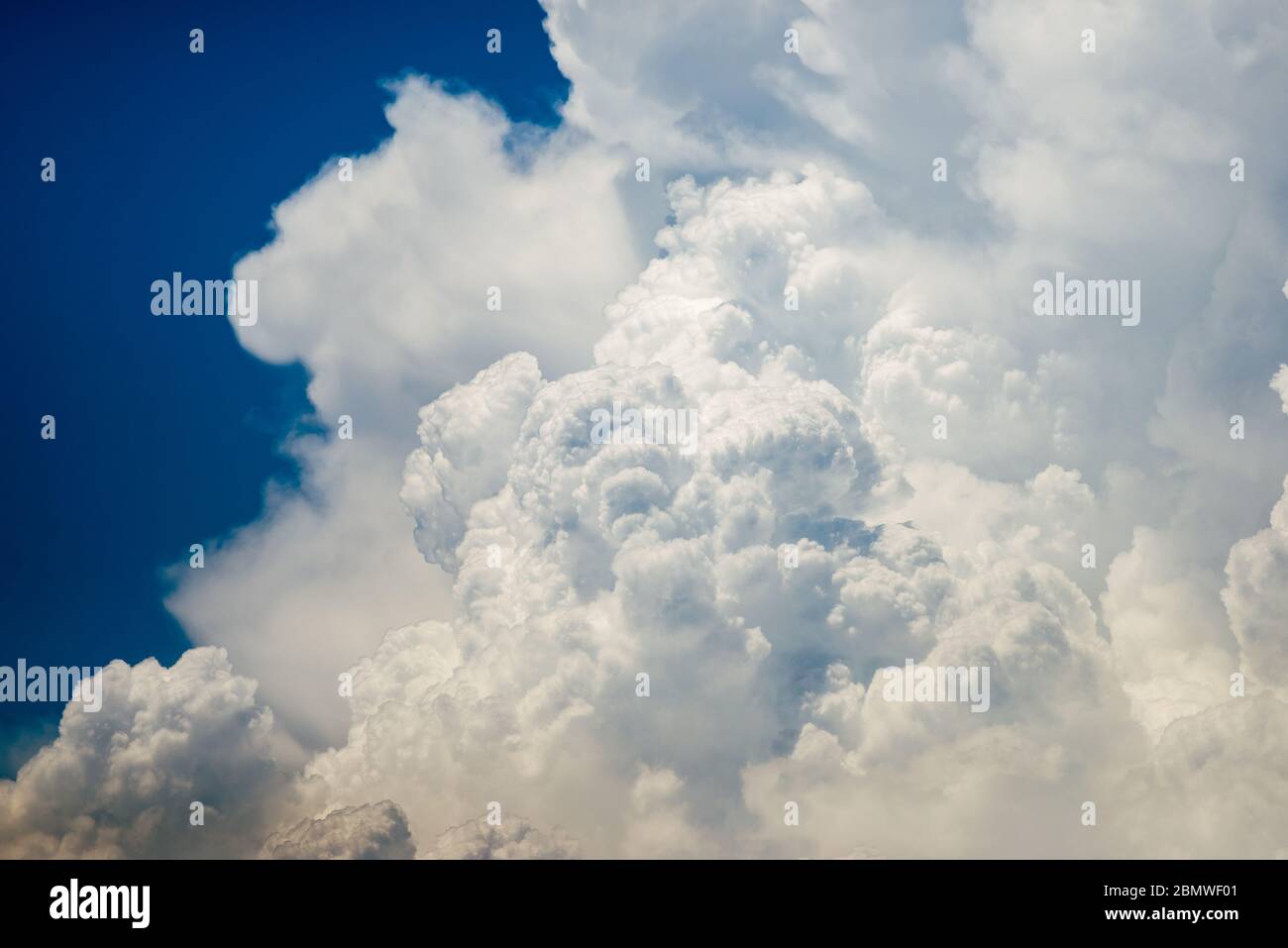 Cúmulos humilis nubes en el cielo azul, vista desde abajo Foto de stock