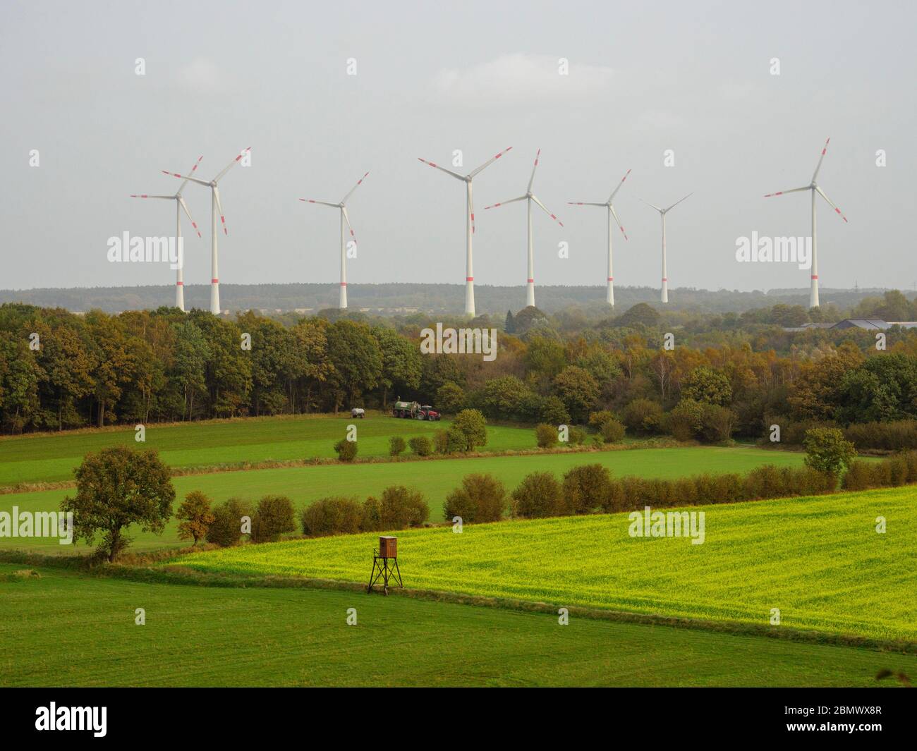 Dithmarschen, Windkraftanlage, Schleswig-Holstein, Alemania Foto de stock
