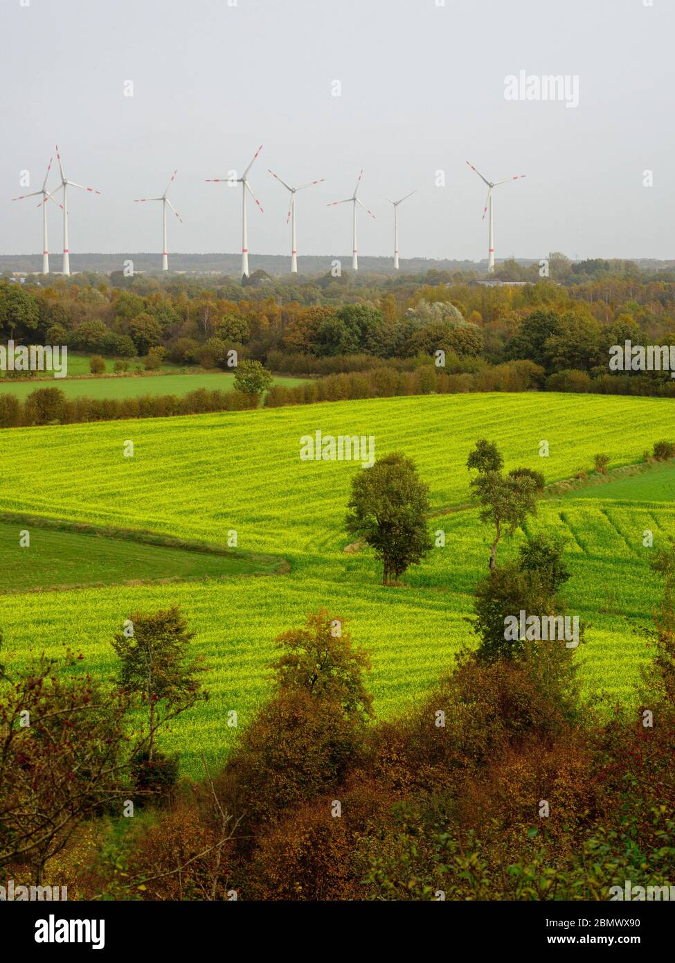 Dithmarschen, Windkraftanlage, Schleswig-Holstein, Alemania Foto de stock