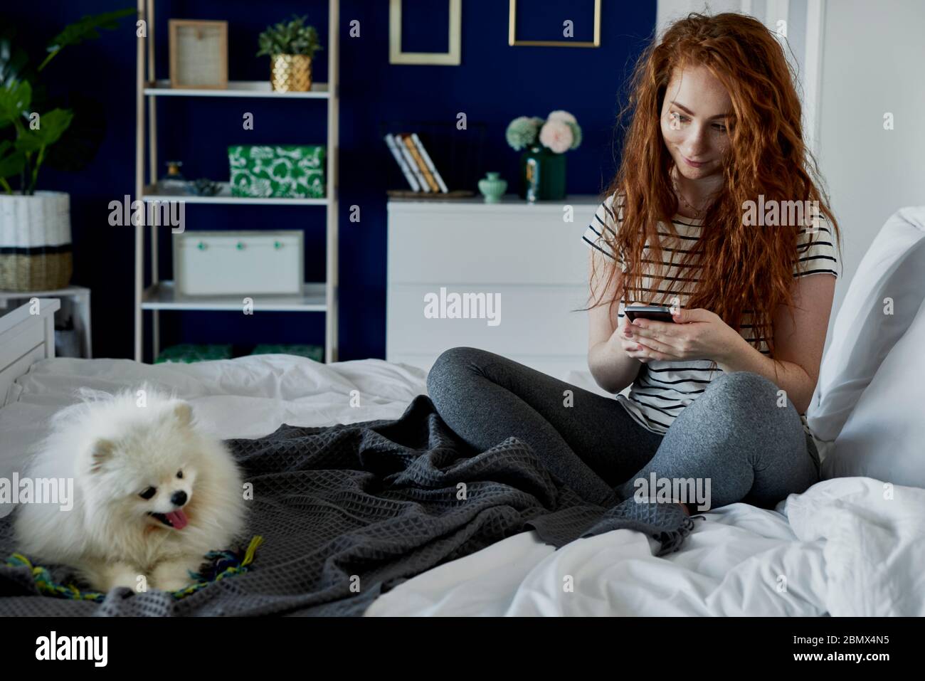 Enviando mensajes de texto a la mujer con su perro junto a. Foto de stock