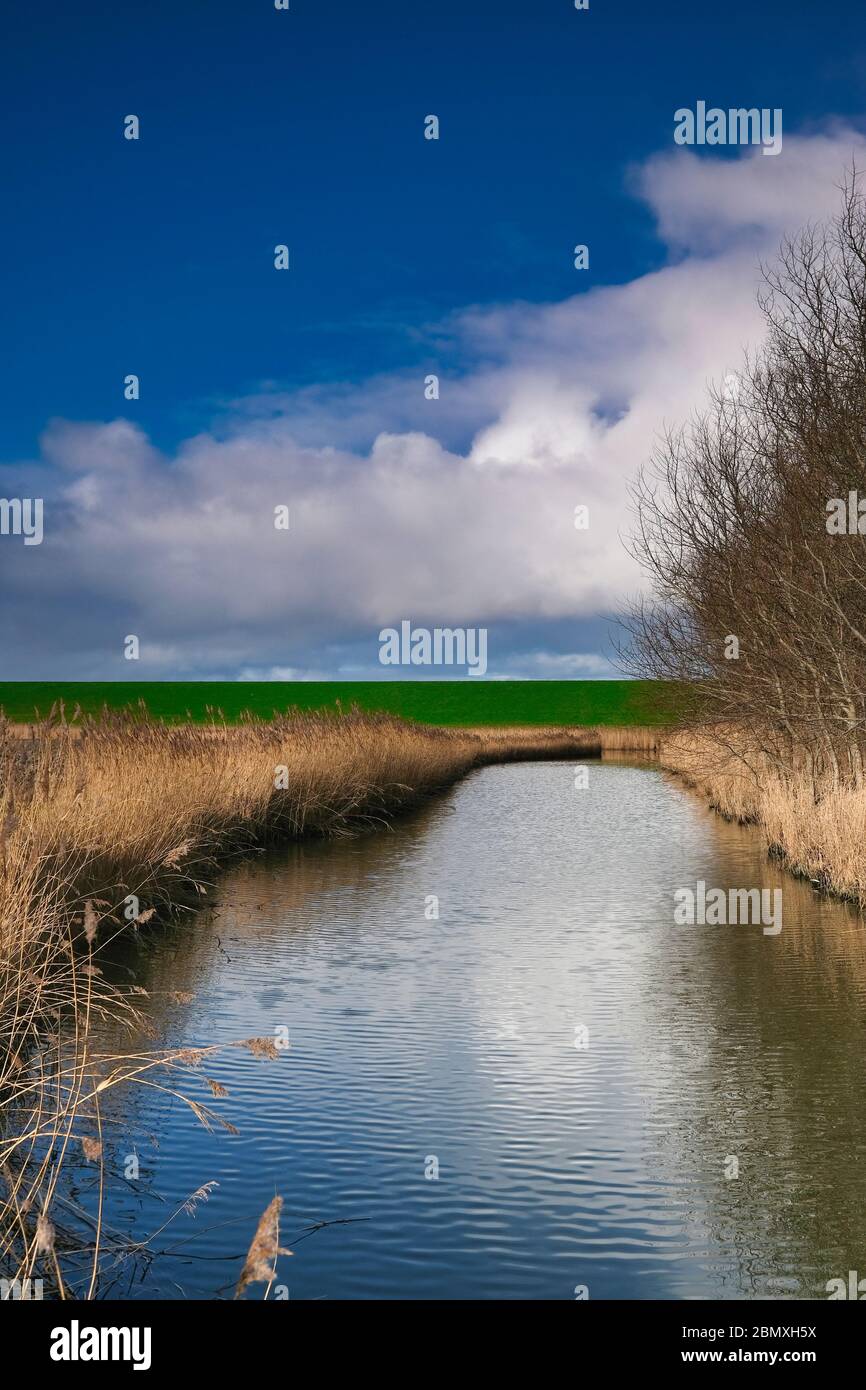 Paisaje en los países Bajos con un río, pastos y un cielo dramático, reflejo en el agua. Los árboles en el fondo. Foto de stock