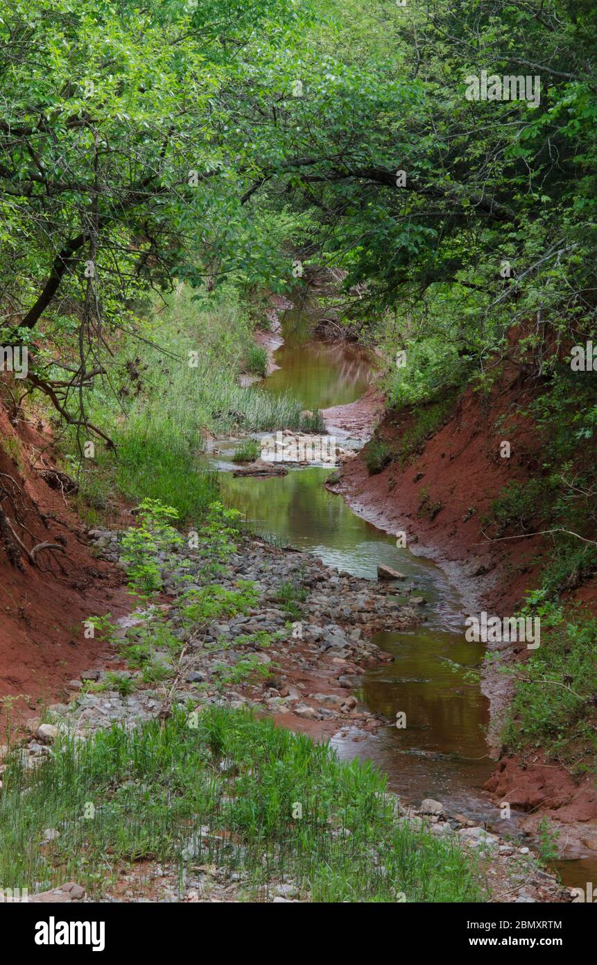 Little Buckhead Creek, en el área de gestión de la fauna de Lexington, Oklahoma Foto de stock