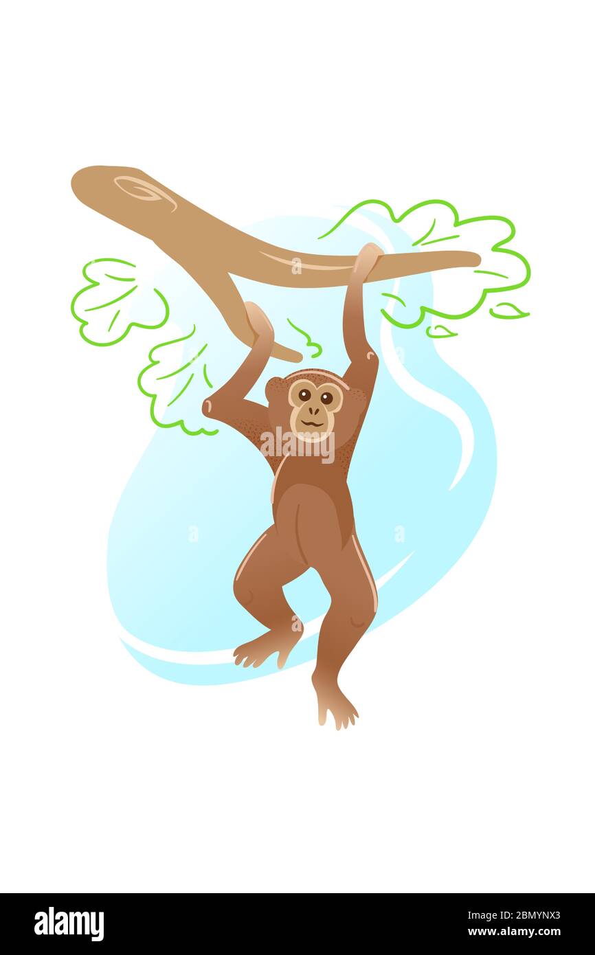 Tarjeta postal de mono de dibujos animados. Personaje animal divertido ilustración vectorial aislada. Chimpancé colgante feliz para niños plantilla. Tarjeta de felicitación con diseño de vida salvaje sobre fondo blanco. Ilustración del Vector