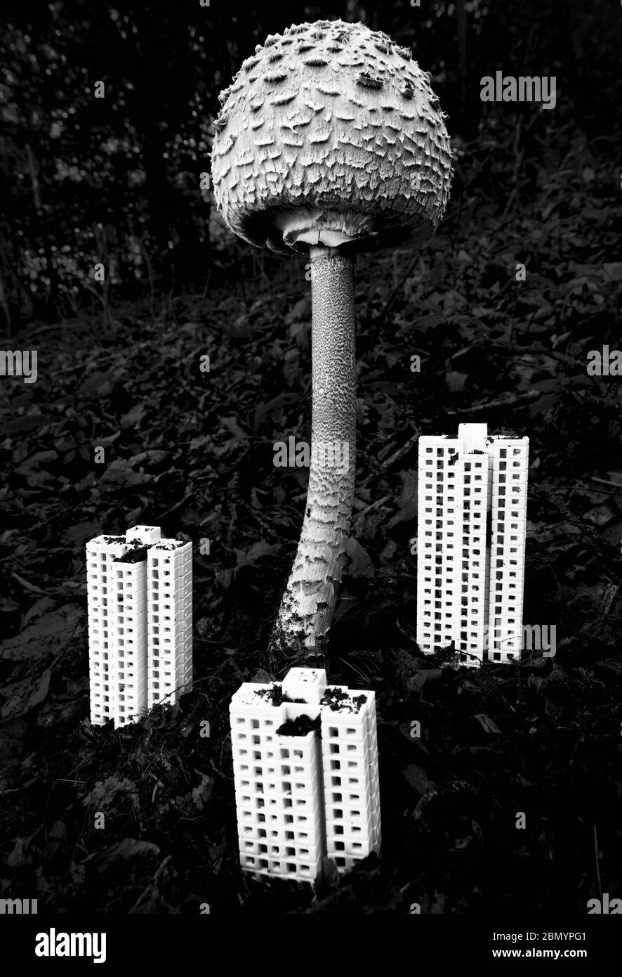 El hongo atómico gigante cerca de rascacielos Foto de stock