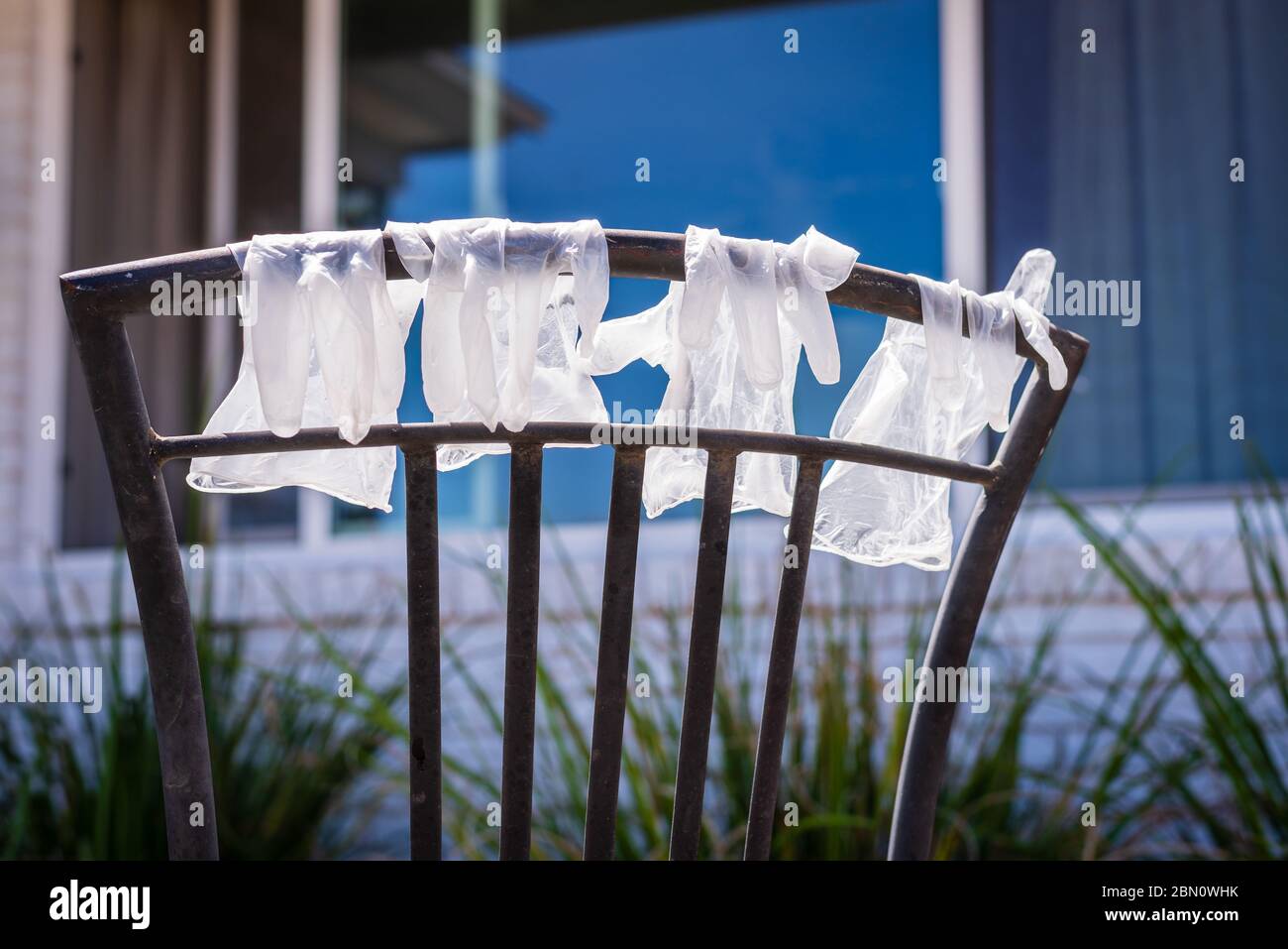 Guantes de plástico lavados desechables colgando en la parte posterior de la silla para secar durante la pandemia de Covid-19. Foto de stock