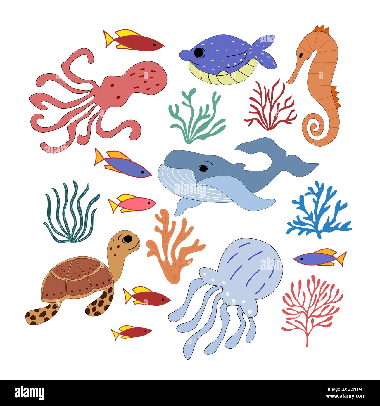 Conjunto De Animales Marinos Y Corales En Graficos Vectoriales Sobre Fondo Blanco Para El Diseno De Ninos Ilustraciones De Dibujos Animados Postales Grabados Estikers Imagen Vector De Stock Alamy