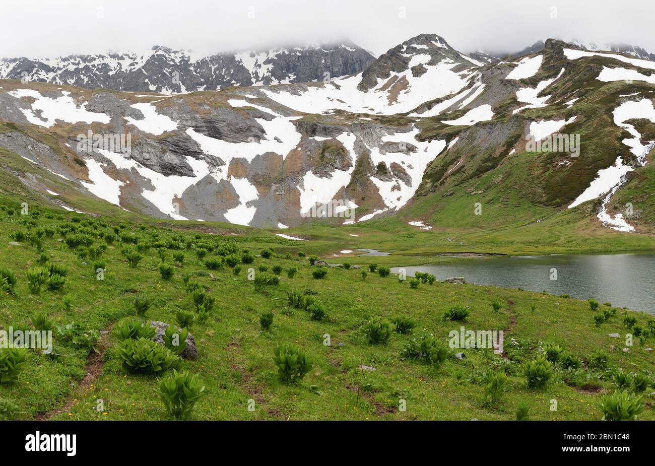 Vista de una empinada pendiente con hermosas flores silvestres blancas y un lago claro situado entre dos colinas. Naturaleza prístina abstracta. Flores de paisaje de primavera Foto de stock