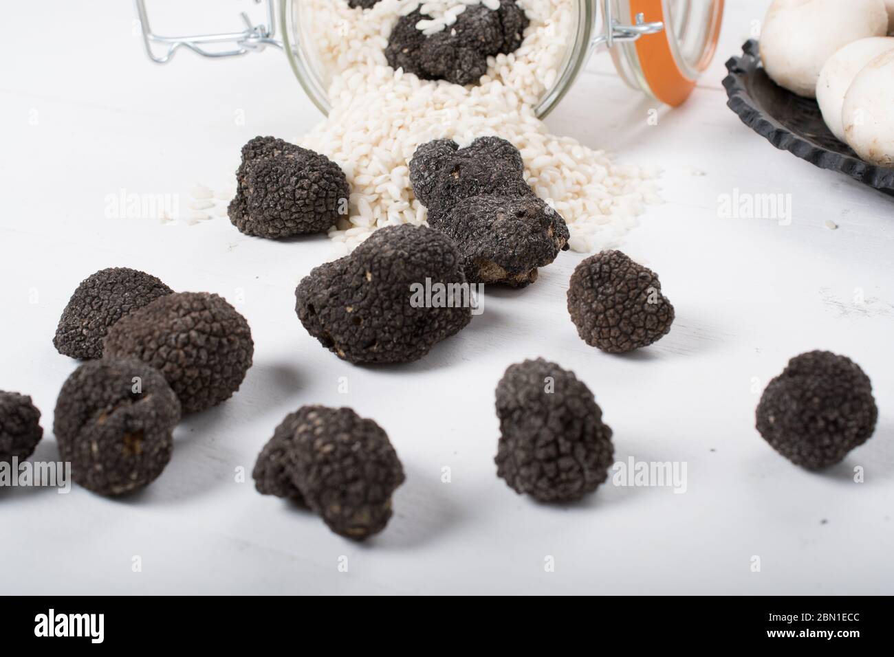 Setas silvestres, trufas, porcini, chanterielle, champignon aisladas sobre un fondo de madera blanca Foto de stock