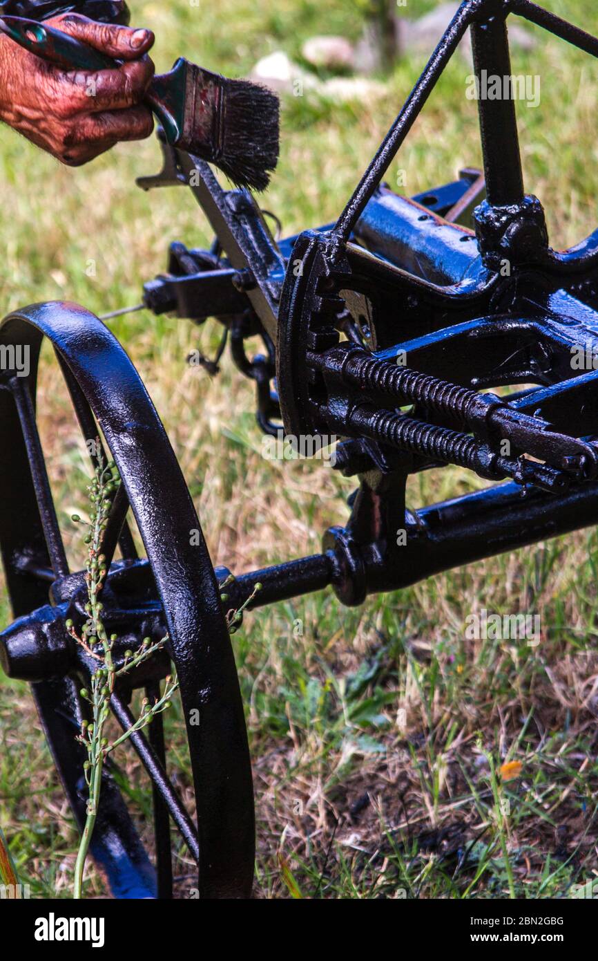 antiguo arado de hierro negro para bueyes que está pintado de negro para  evitar el óxido Fotografía de stock - Alamy
