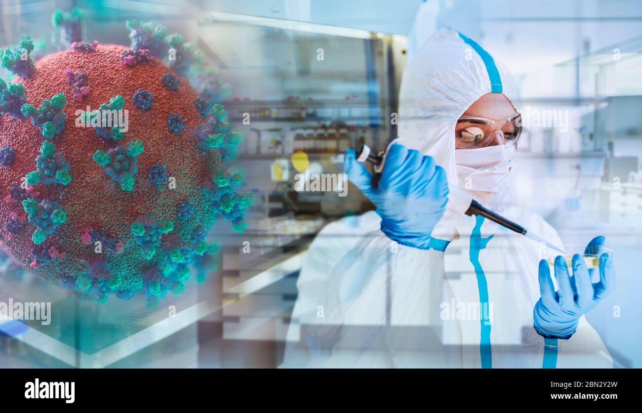 Científica femenina que investiga el coronavirus en laboratorio Foto de stock