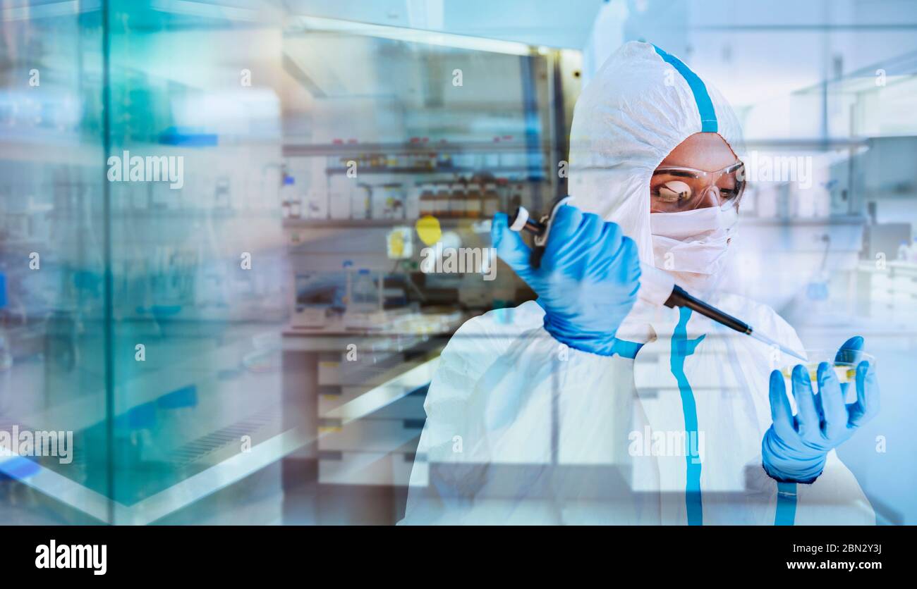 Mujer científica en traje limpio investigando coronavirus en laboratorio Foto de stock