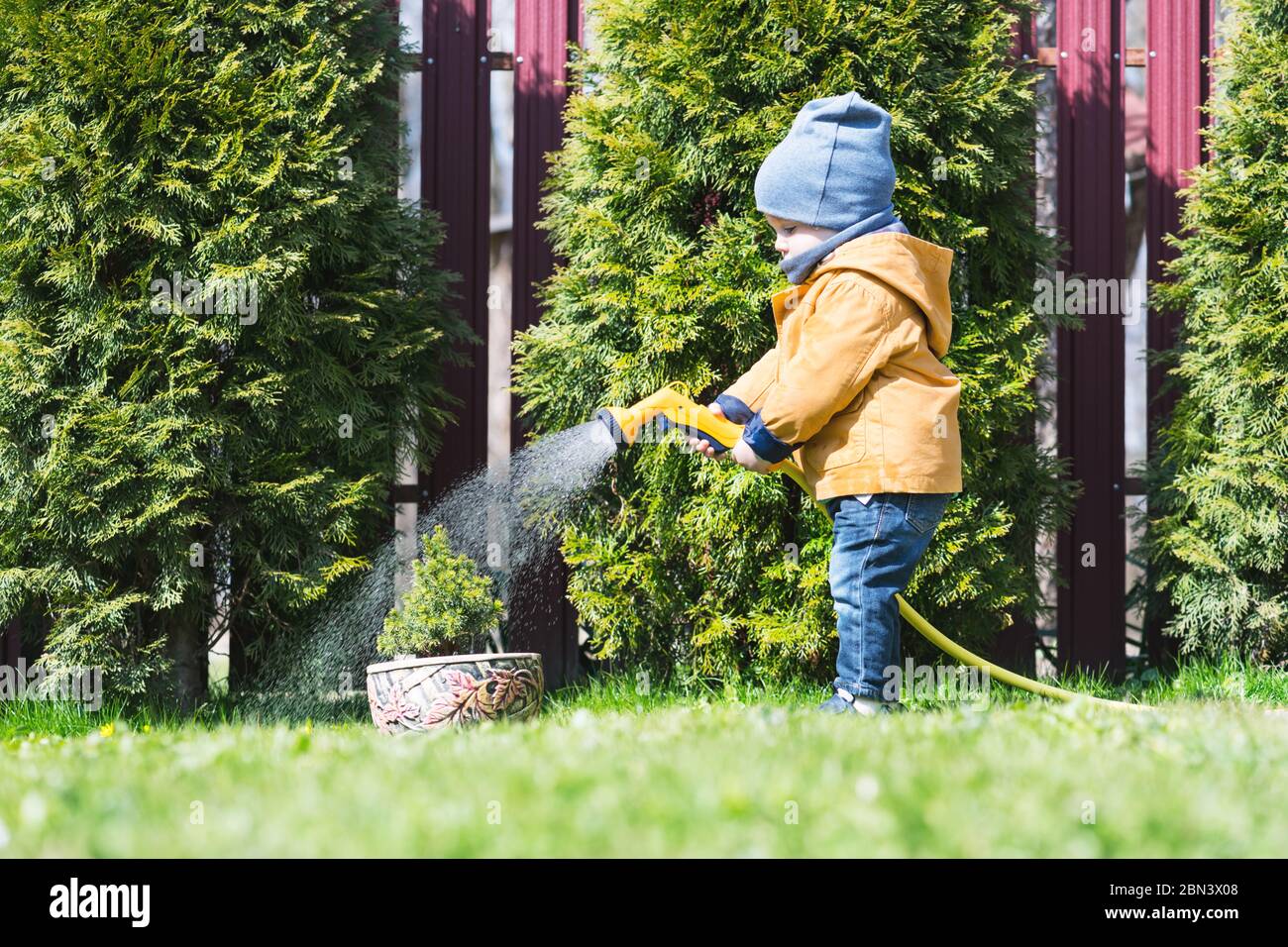 Un niño pequeño con riego puede regar árboles en el patio trasero. Concepto de la niñez feliz Foto de stock