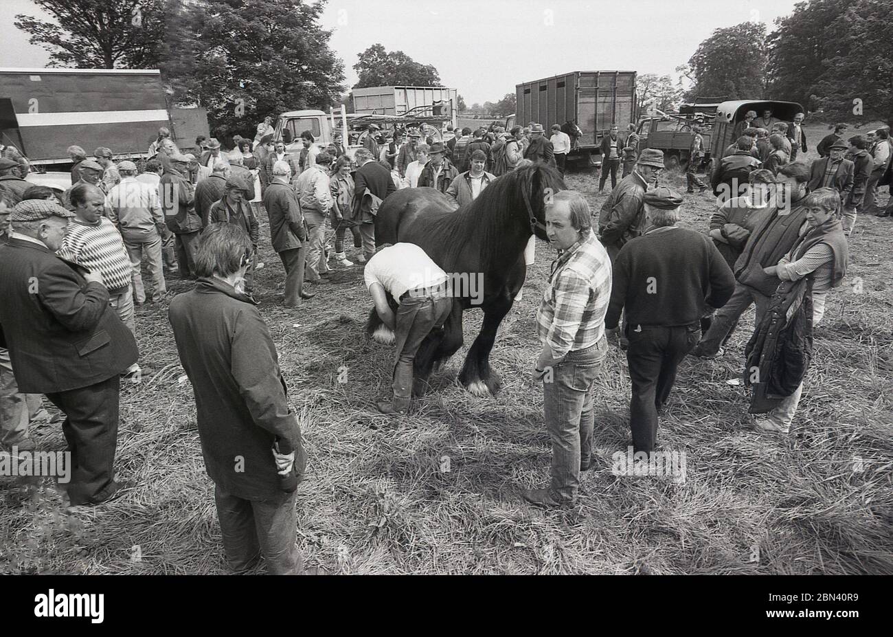 1987, en el exterior de la feria de caballos Gypsy o Travellers, los visitantes se reúnen para ver a un arriero remontando un caballo, Inglaterra, Reino Unido. Foto de stock