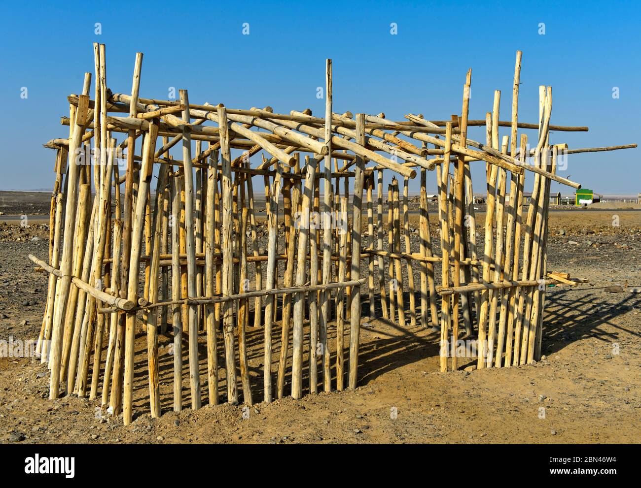 Estructura de rejilla de madera de un refugio tradicional de nómadas afar, Hamadela, Valle de Danakil, Provincia de Afar, Etiopía Foto de stock