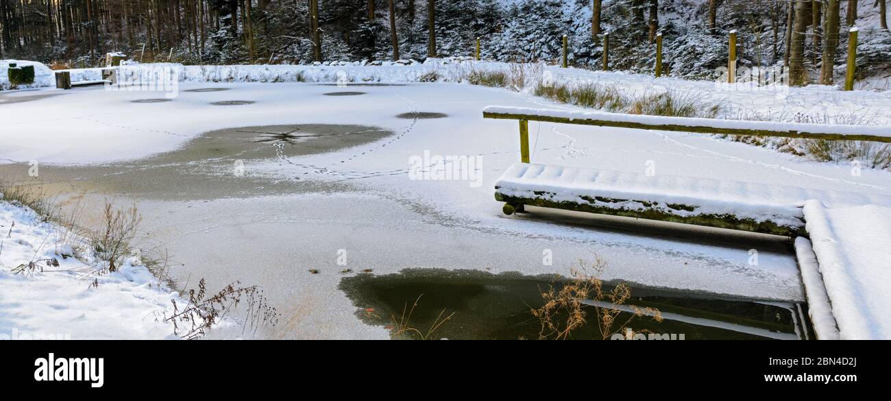 Estanque cubierto de hielo con nieve para la piscicultura en invierno, Austria Foto de stock