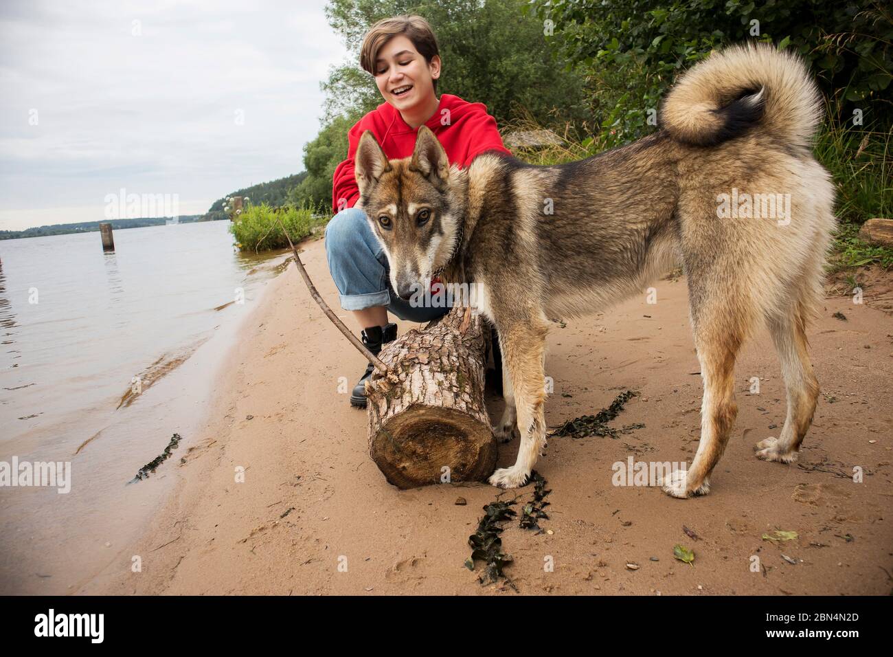 Niña de pelo corto en una sudadera con capucha roja y jeans juega con un  perro huskera en la orilla del río Fotografía de stock - Alamy