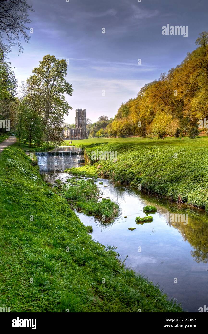 Fountains Abbey, Ripon, Yorkshire Foto de stock