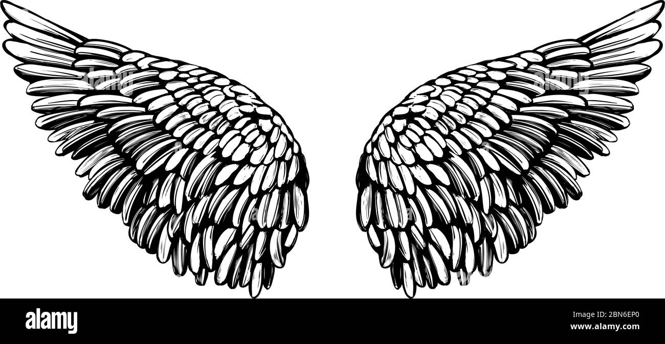 Conjunto de alas de ángel sobre un fondo blanco. La caligrafía ilustración  vectorial EPS10 Imagen Vector de stock - Alamy