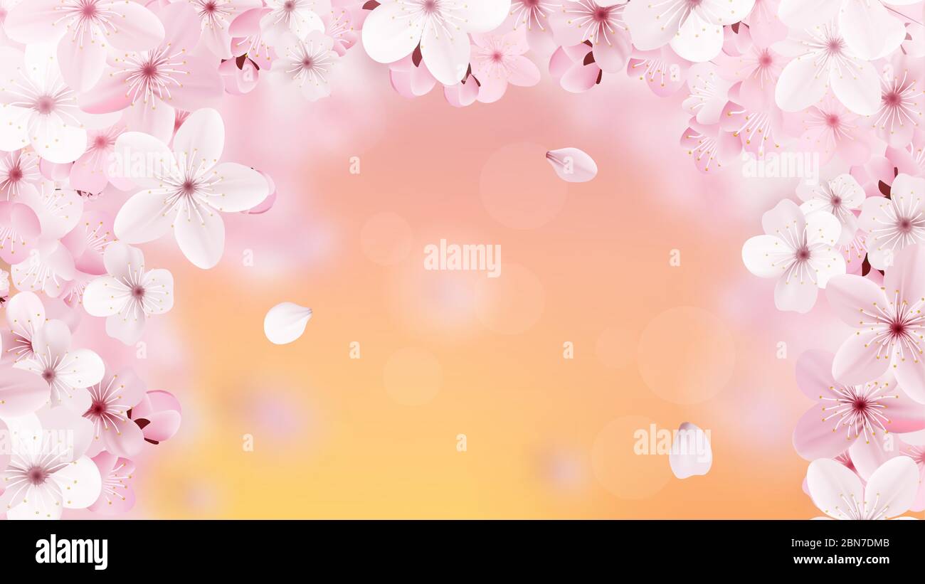 Bonito estampado con flores sakura rosas claras en flor Imagen Vector de  stock - Alamy