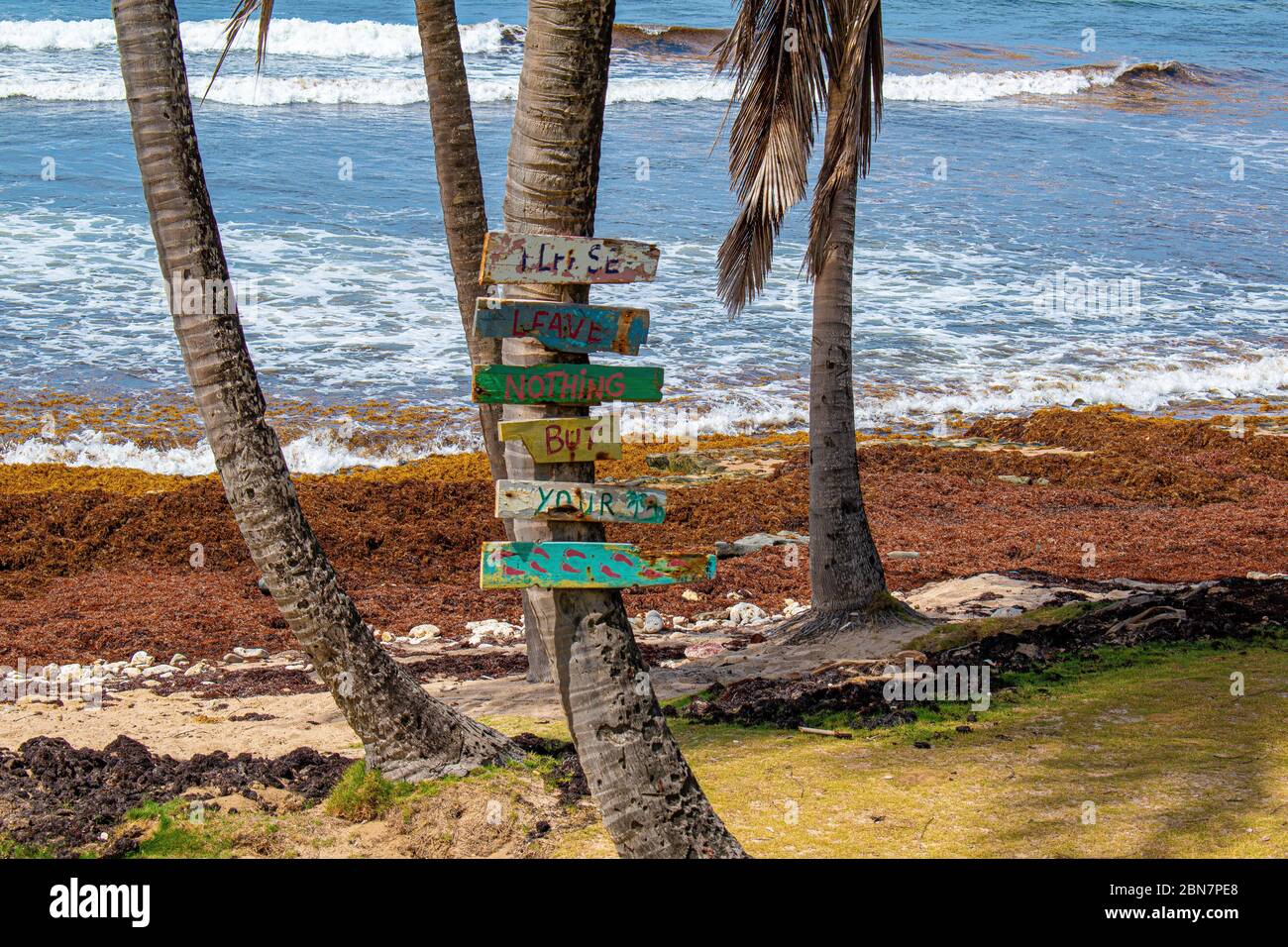 Esta es la escarpada costa este de Barbados, donde los visitantes vienen a respirar el aire, sumergirse en las vigorizantes piscinas de Bathsheba y sentirse vivo. Foto de stock