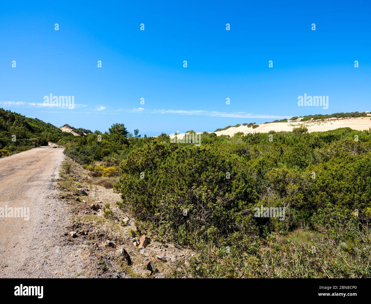 Camino de tierra que conduce a las dunas de Piscinas, entre la vegetación silvestre de enebros y lentejas Foto de stock