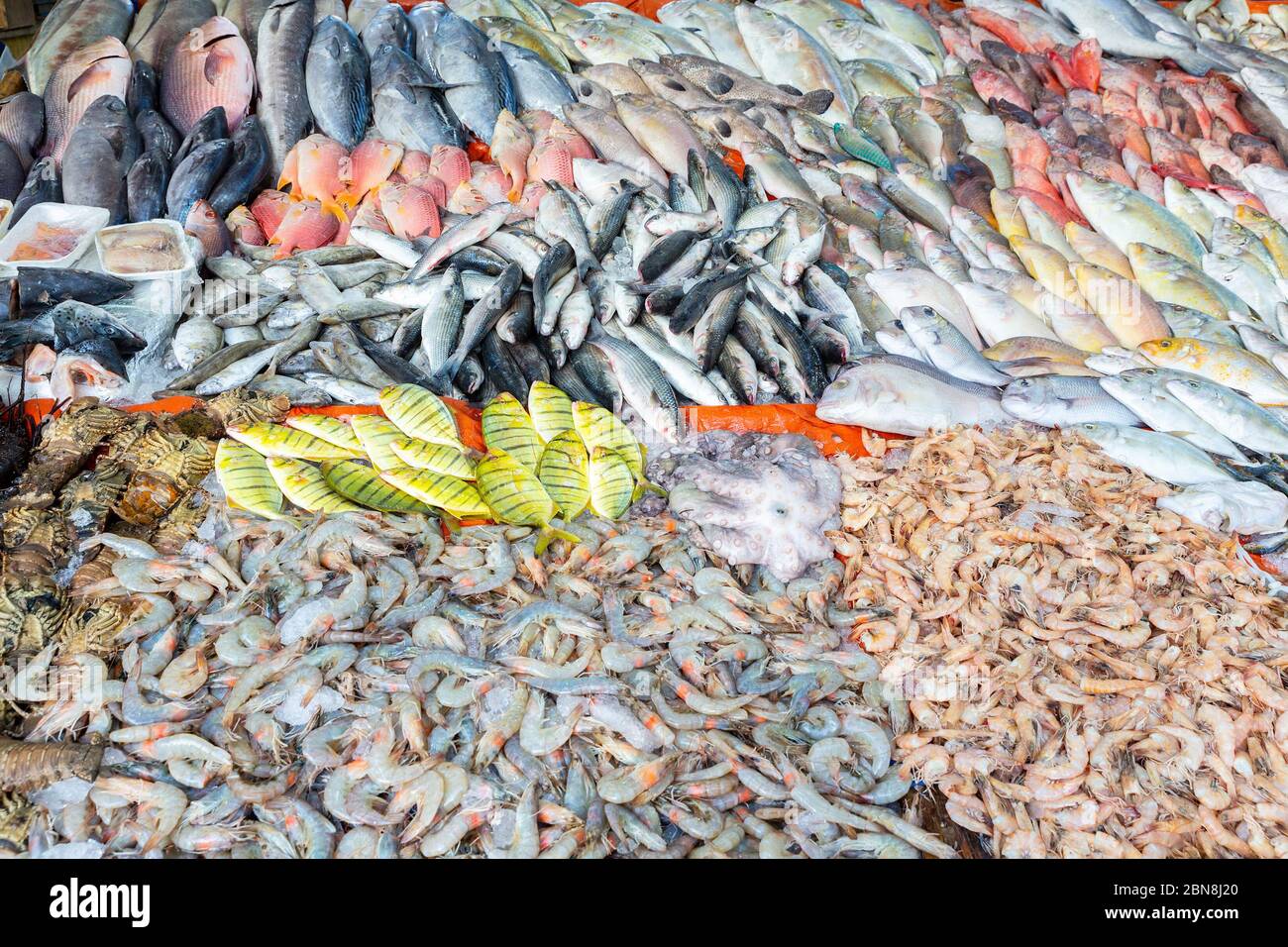 Montón de muchos peces de agua salada vendidos en el mercado Foto de stock