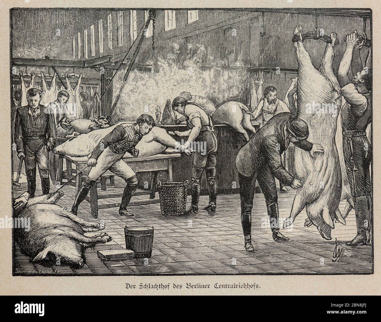 Matadero en Berlín, ilustración de 'Die Hauptstädte der Welt', la capital del mundo, Breslau alrededor de 1897 Foto de stock