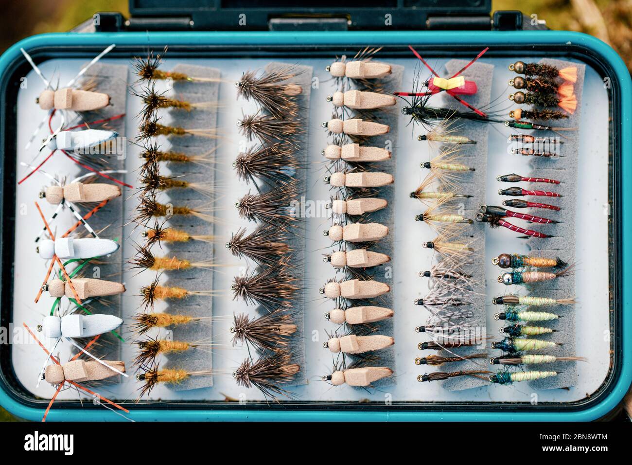 Caja con moscas. mosca Fotografía de stock - Alamy