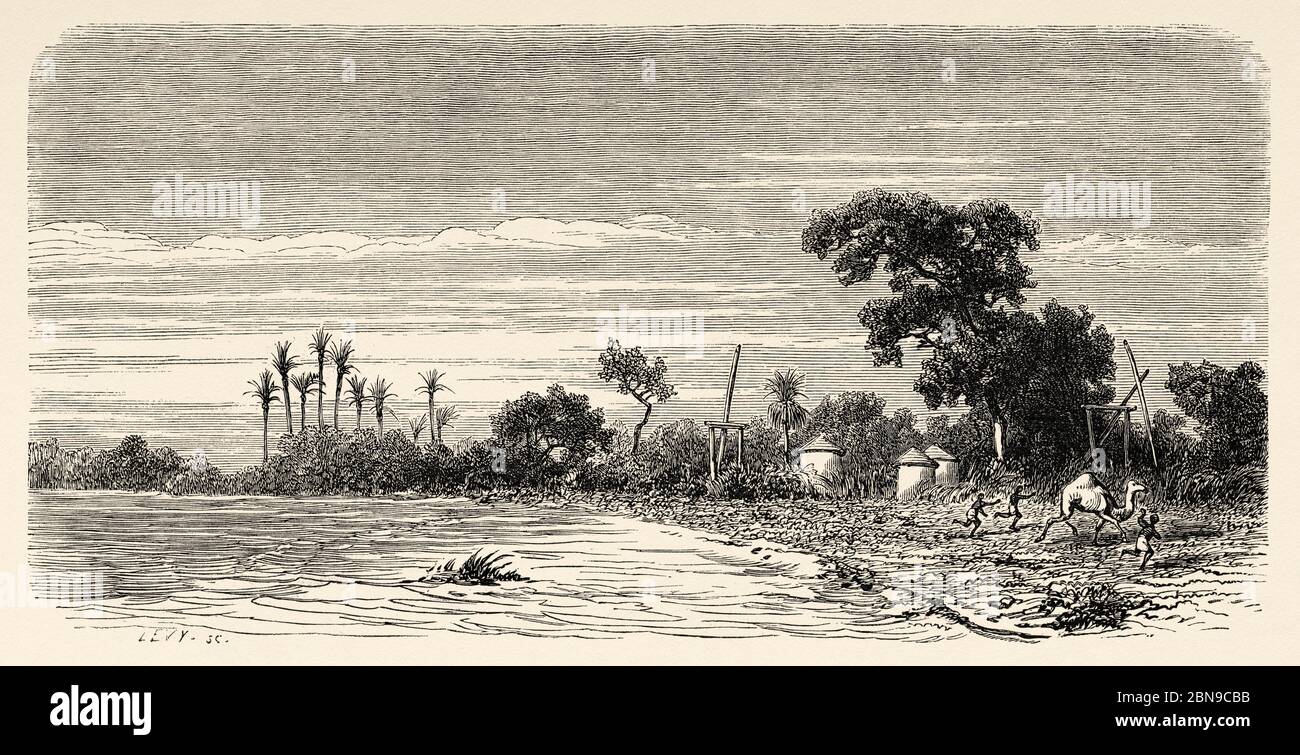Invasión de un torrente en el lecho seco del río, región de Kurdufan, Sudán. África, Antiguo siglo XIX ilustración grabada, le Tour du Monde 1863 Foto de stock