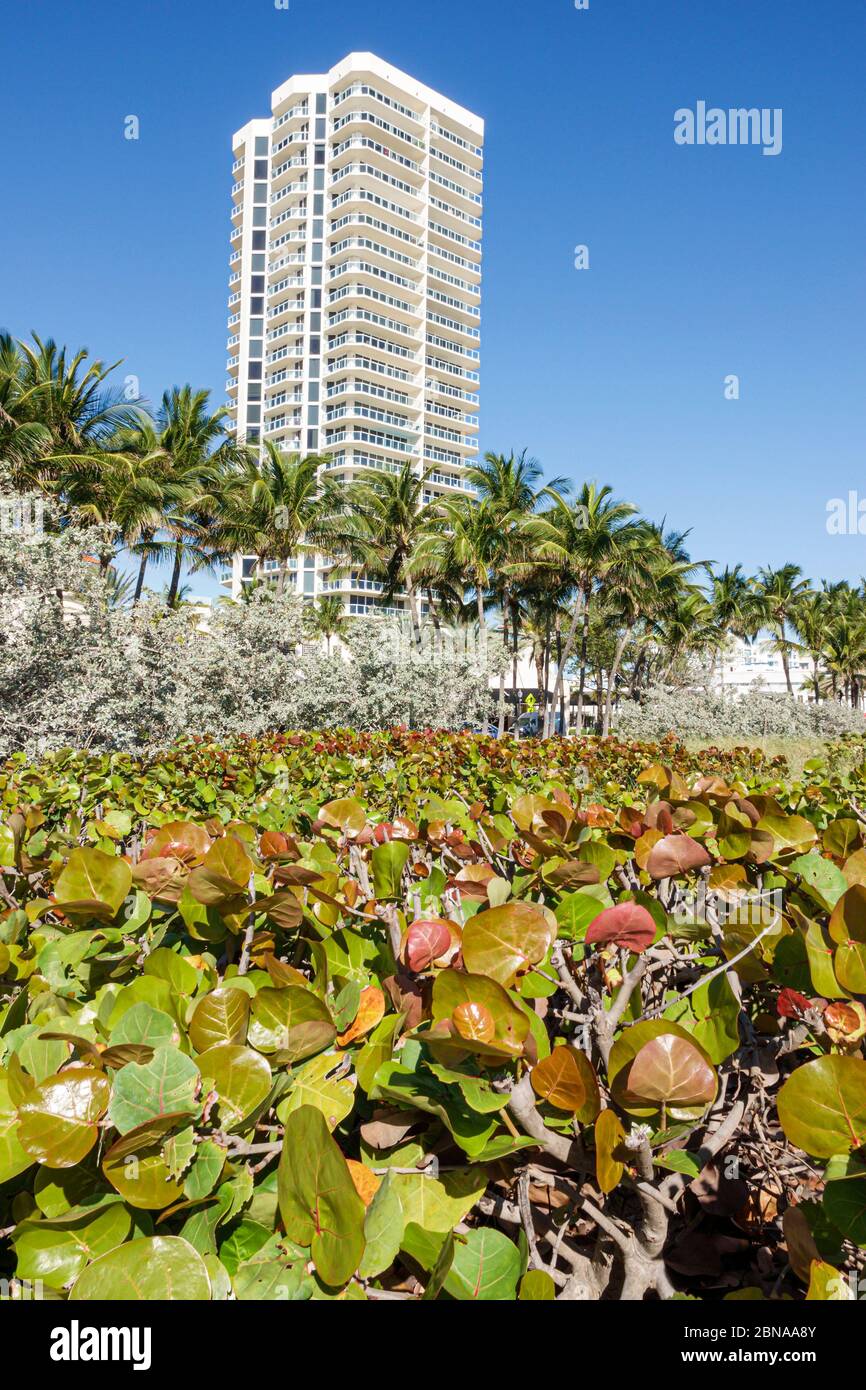 Miami Beach Florida, North Beach, Ocean Terrace, St. Tropez Ocean Front edificio de apartamentos residenciales de gran altura, FL200217075 Foto de stock